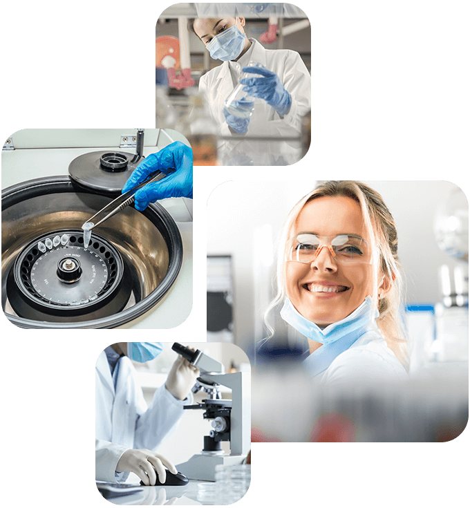 https://rcegroupusa-test.com/wp-content/uploads/2020/06/experience_10.png