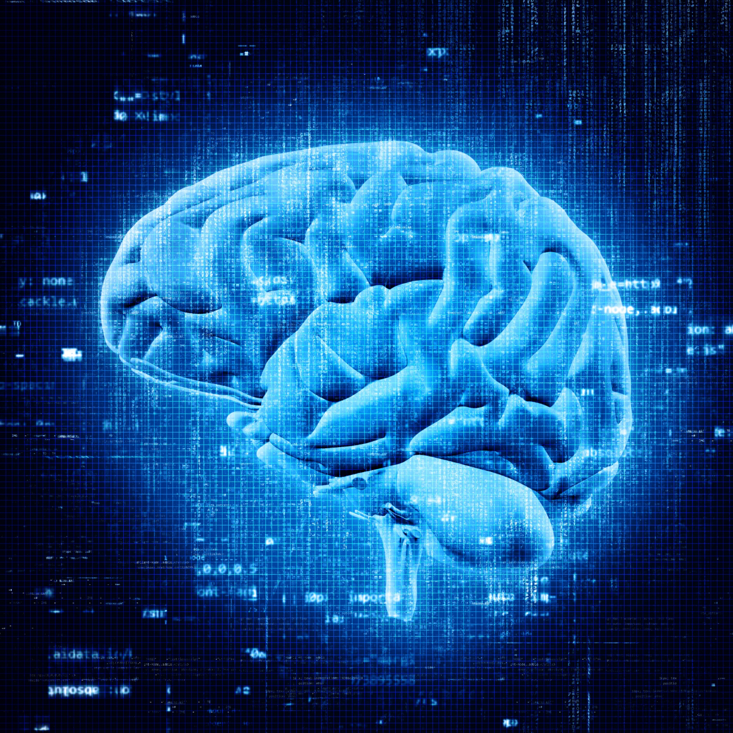 Brain patology tests
