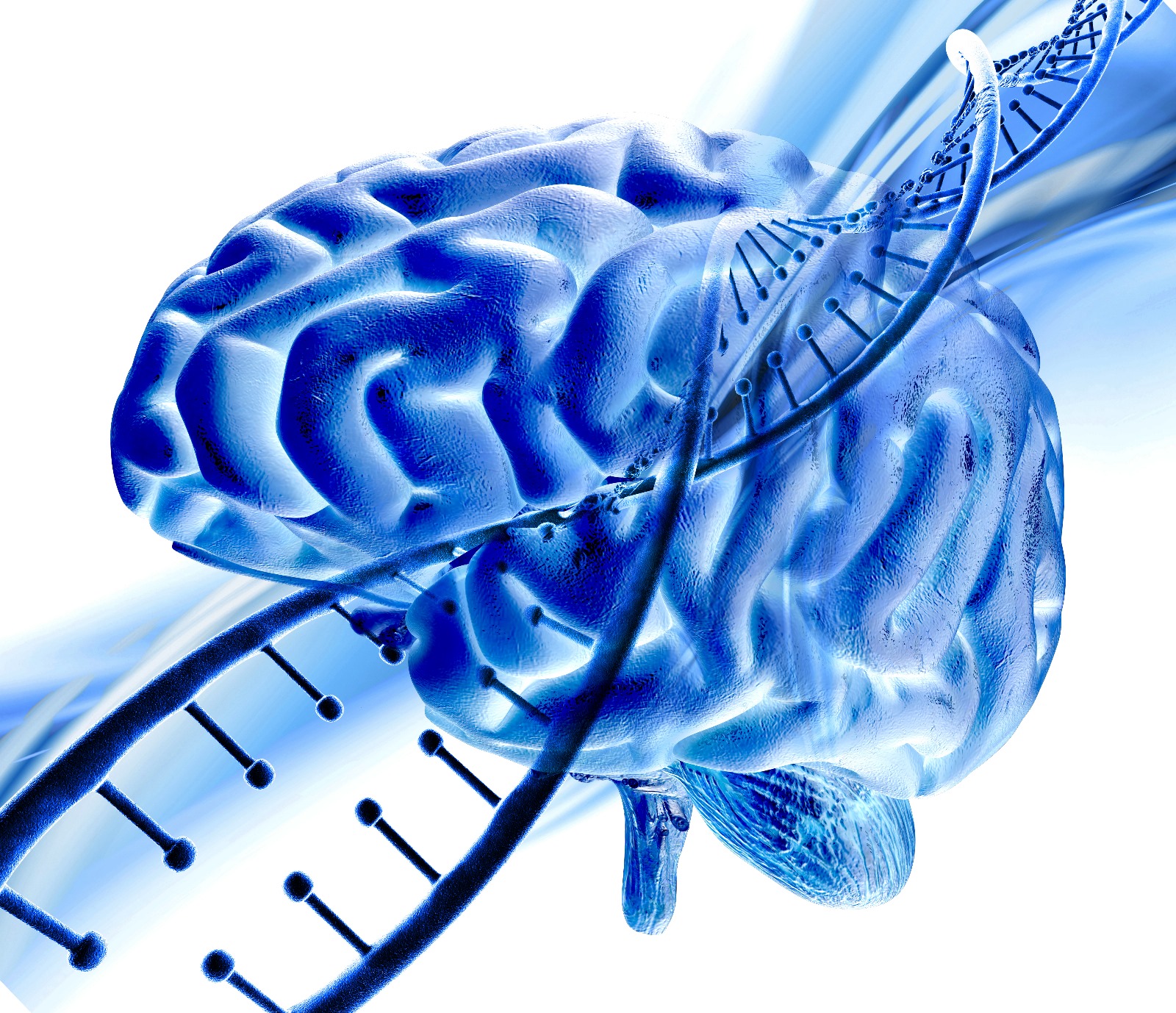 DNI & Brain